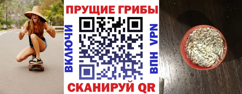 Купить где  Ревда  Псилоцибиновые грибы Magic Shrooms 